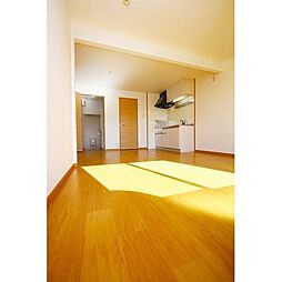 リバーパークタモツB 2LDKの写真