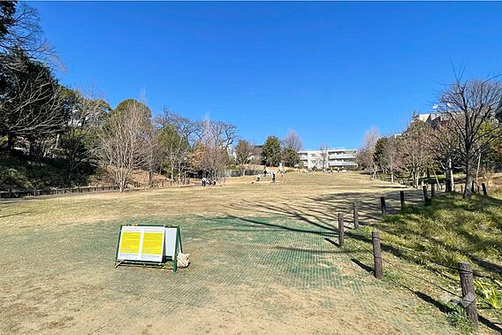 おとめ山公園の...