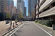 敷地東側の前面道路（南側から）