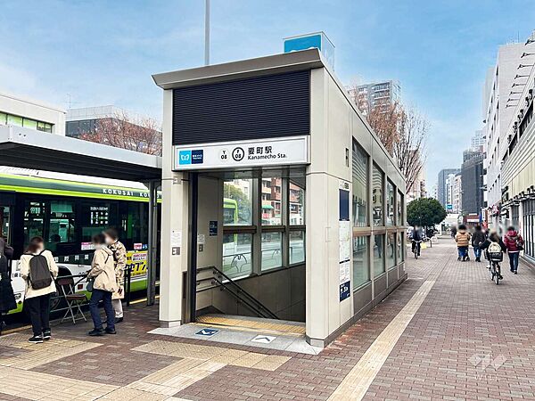 周辺を拡大表示
