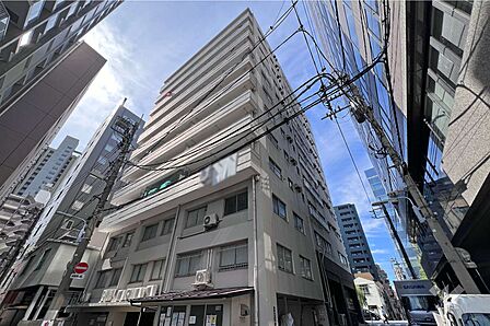 駒形武蔵野マンションの外観（東側から）