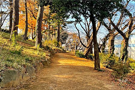 茂呂山公園の外観
