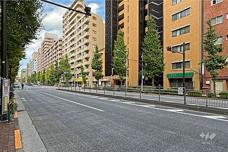 敷地の西側前面道路は音羽通りです。(南側から)