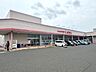 周辺：しまむら正蓮寺店