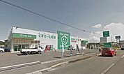 ザグザグ檀紙北店