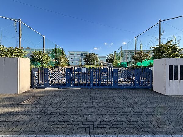 周辺を拡大表示