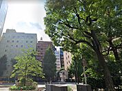 プールや遊具があり子供達が元気に遊べ、緑も多く憩いの場所となっています。