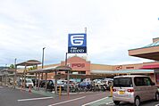 フジグラン十川