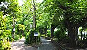 南砂緑道公園（5687m）