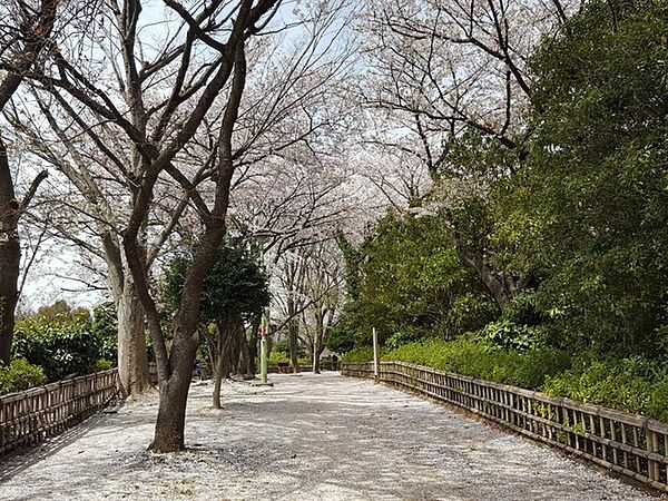周辺を拡大表示
