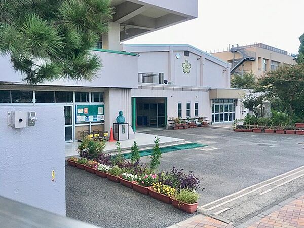周辺を拡大表示