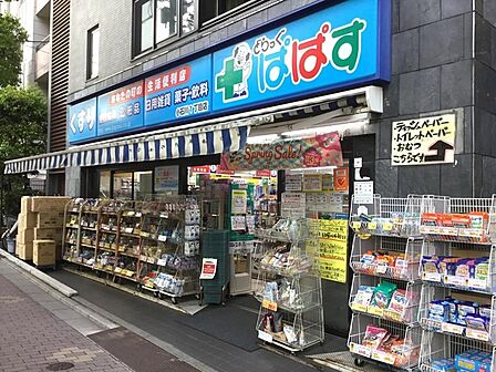 どらっぐぱぱす小石川1丁目店（796m）