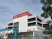 ロヂャース越谷店（600m）