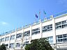 周辺：足立区立東加平小学校（295m）
