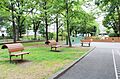 保木間公園（6...