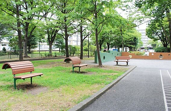 保木間公園（6...
