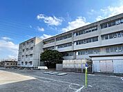 草加市立両新田小学校（741m）