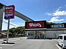 周辺：ワッツウィズ下河内ウォンツ店 1290m