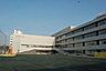 周辺：世田谷区立代沢小学校 徒歩7分。 560m