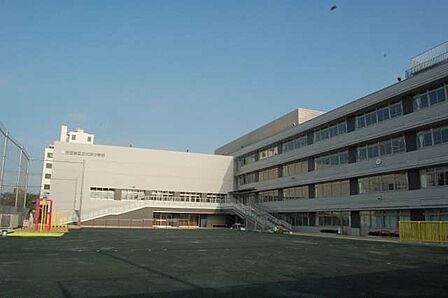 世田谷区立代沢小学校 徒歩7分。 560m