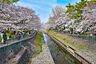 周辺：善福寺川緑地 徒歩14分。 1120m