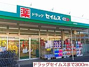 ドラッグセイムスまで300m