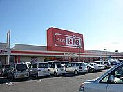 The Big（ザ・ビッグ） 厚木旭町店（561m）