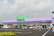 Welpark（ウェルパーク） 海老名かしわ台店（559m）