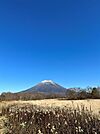 羊蹄山が見えます