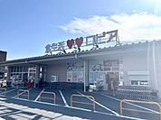ロピア橿原店 880m