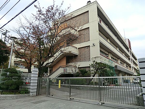 周辺を拡大表示