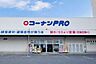 周辺：コーナンPRO東寺南店 160m