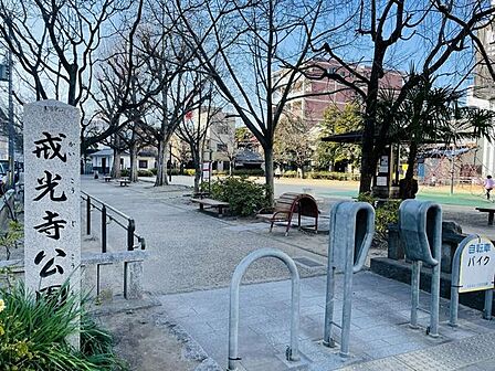 戒光寺公園 540m