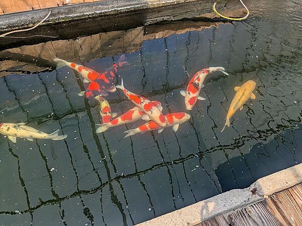 寝室を拡大表示