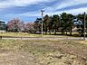 その他：敷地の様子