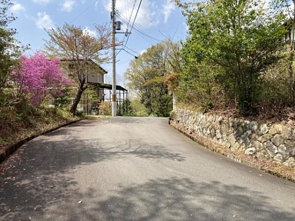その他を拡大表示
