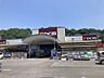 周辺：DCM DAIKI（DCMダイキ） 宮内店（1170m）