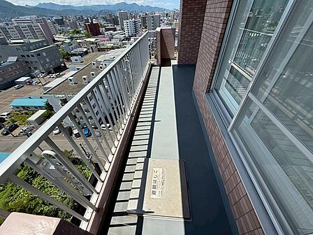 室内から出入りしやすく、毎日の洗濯にも便利なバルコニーです。