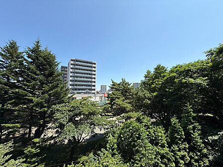 住戸からの眺望とあわせて、周辺建物との距離感や陽当たりも確認できます。写真だけでは分かりにくい空の広がりや開放感を、ぜひ現地でお確かめください。