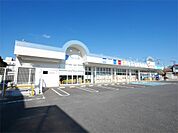 カワチ薬品 日立若葉店（1958m）