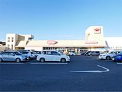 FOOD OFFストッカー田尻店（1563m）