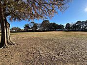 西部中央公園 910m
