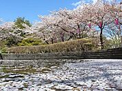 城山公園 890m