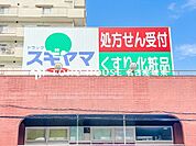 ドラッグスギヤマ緑店 徒歩8分。 640m