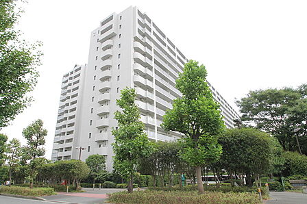 現地(2026年5月)撮影