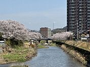 切戸川河川公園 340m