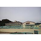 小学校「大野小学校まで1900m」大野小学校