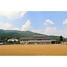 小学校「天津小学校まで850m」天津小学校