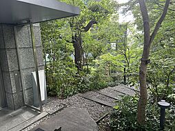 多くの樹木に包まれた庭