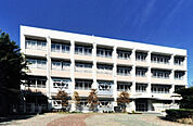 野里小学校
